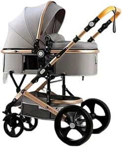 Belecoo Modern 2-in-1 stroller