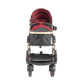 Belecoo Modern 2-in-1 stroller