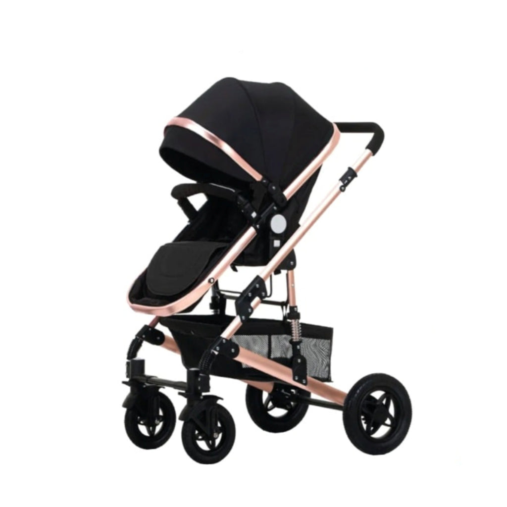 2 in 1 Foldable Stroller