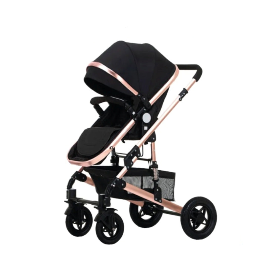 2 in 1 Foldable Stroller